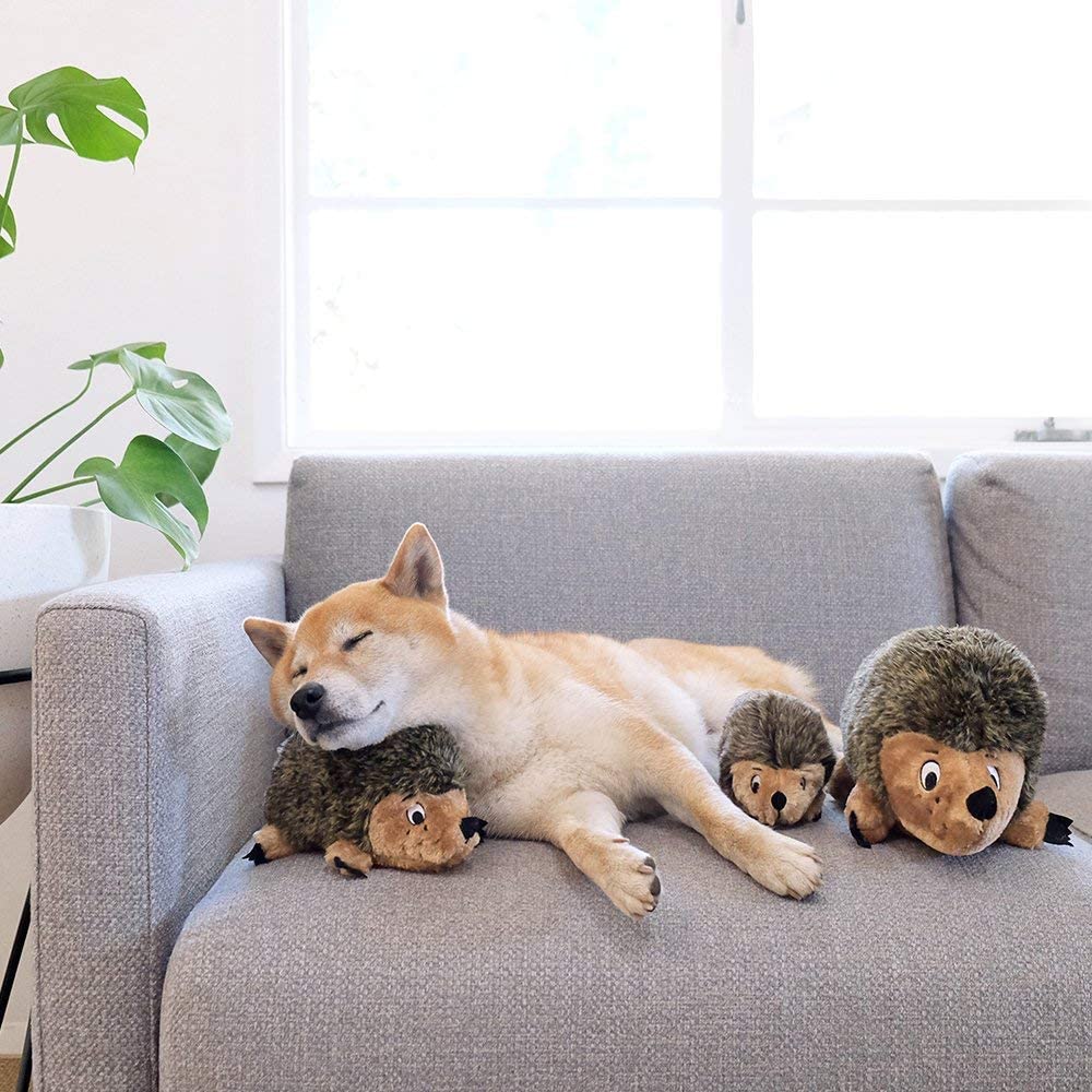 Chew Toys