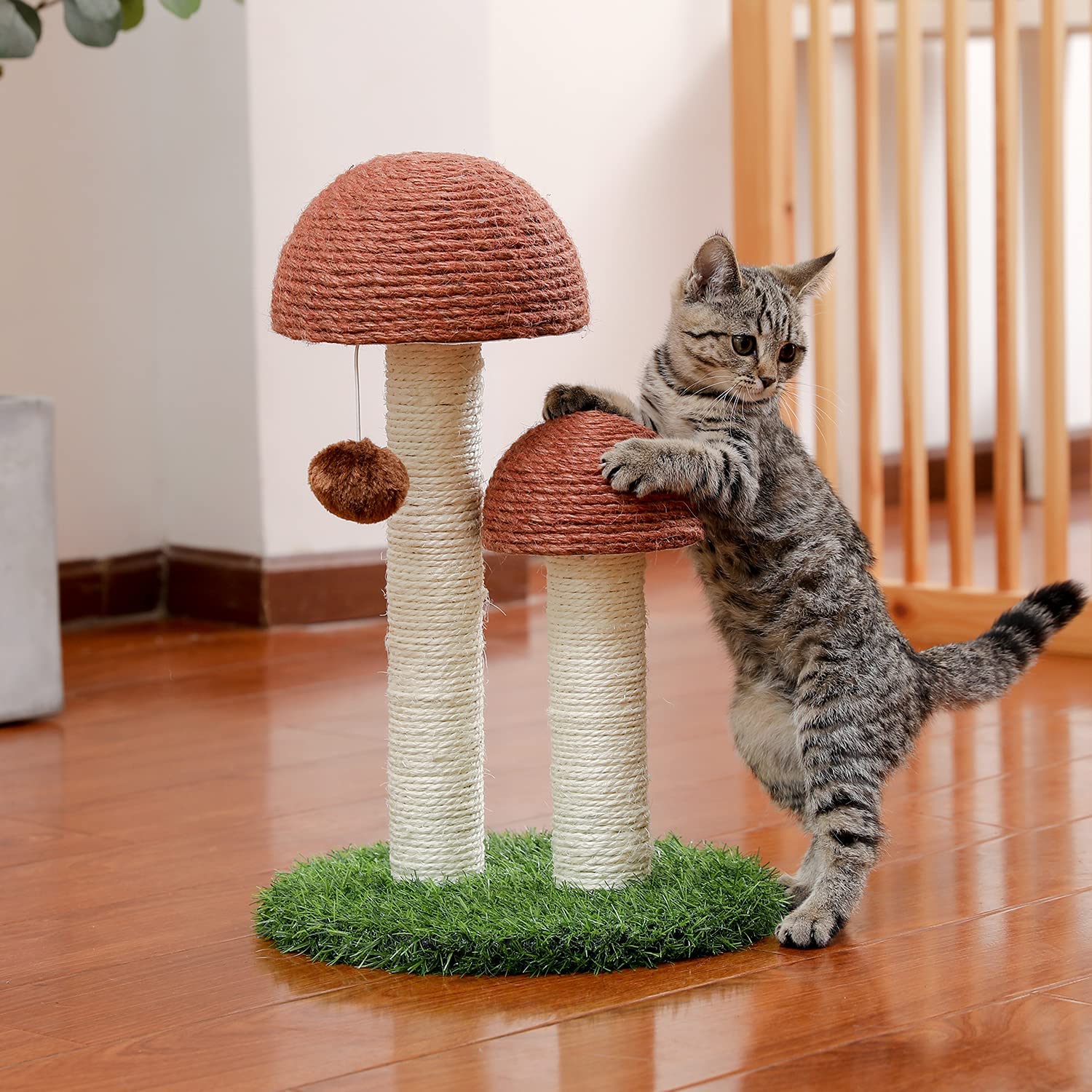 Scratching Posts